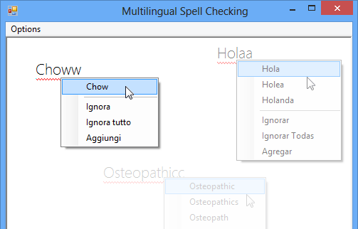 Multilingual Spell Checking